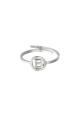 couleur argent Image2