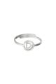 couleur argent Image4