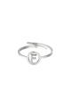 couleur argent Image6