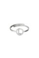 couleur argent Image12