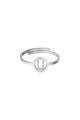 couleur argent Image19
