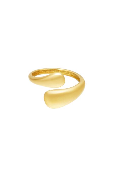 Anneau bicolore en acier inoxydable Anneau Bague One size