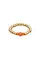 orange/14 Image4