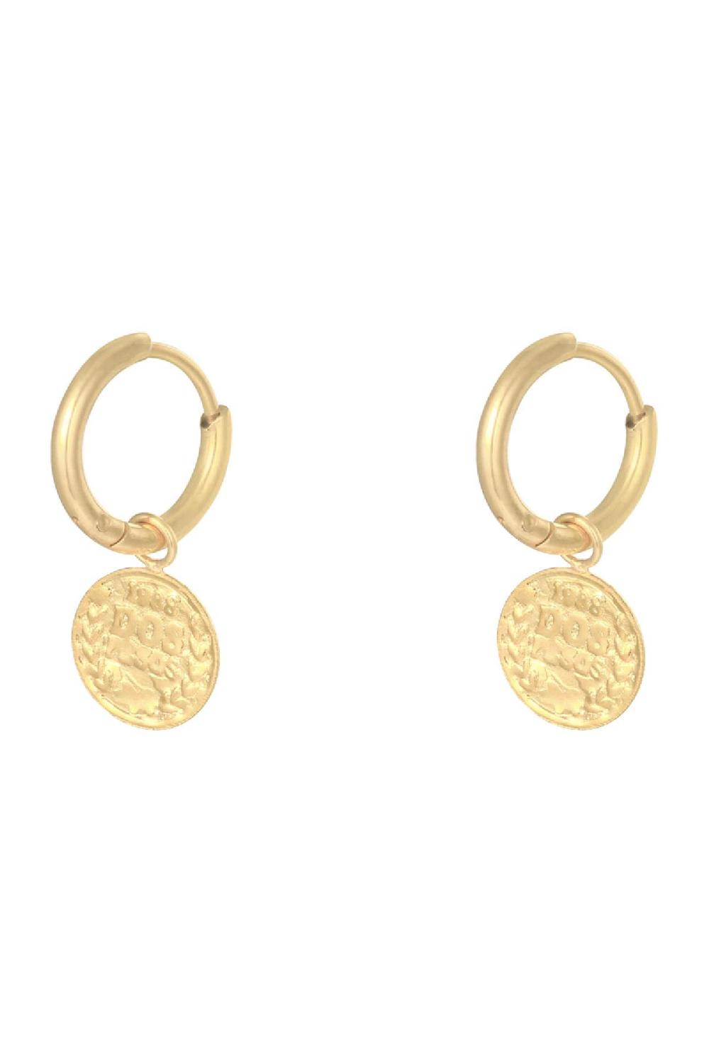 Boucles D'oreilles Ancient Coin Acier Inoxydable h5Image2