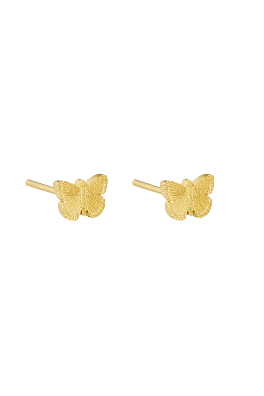 Boucles D'oreilles Fly Acier Inoxydable 