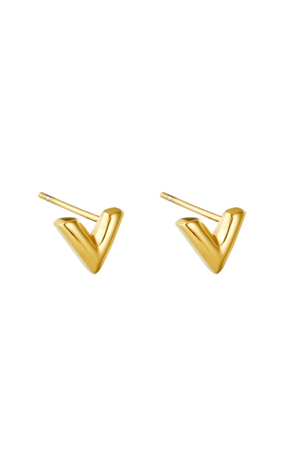 Boucles D'oreilles Think V Acier Inoxydable 