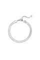 couleur argent Image2