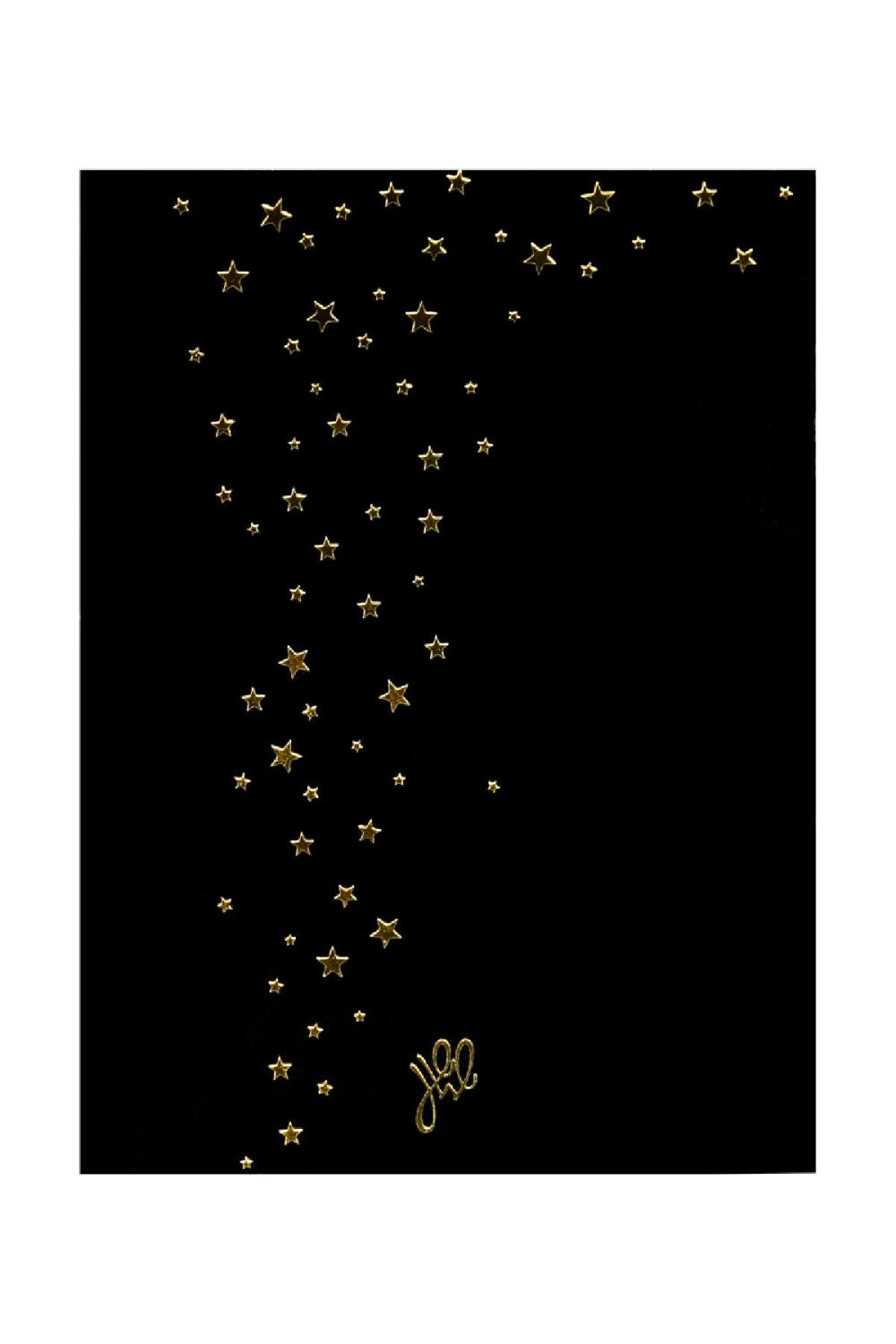 Boucles D'oreilles Dangling Snowflake Argenté Acier Inoxydable Image2