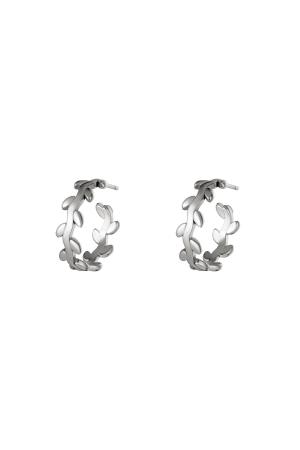 Boucles D'oreilles En Acier Inoxydable Couronne De Laurier Argenté h5