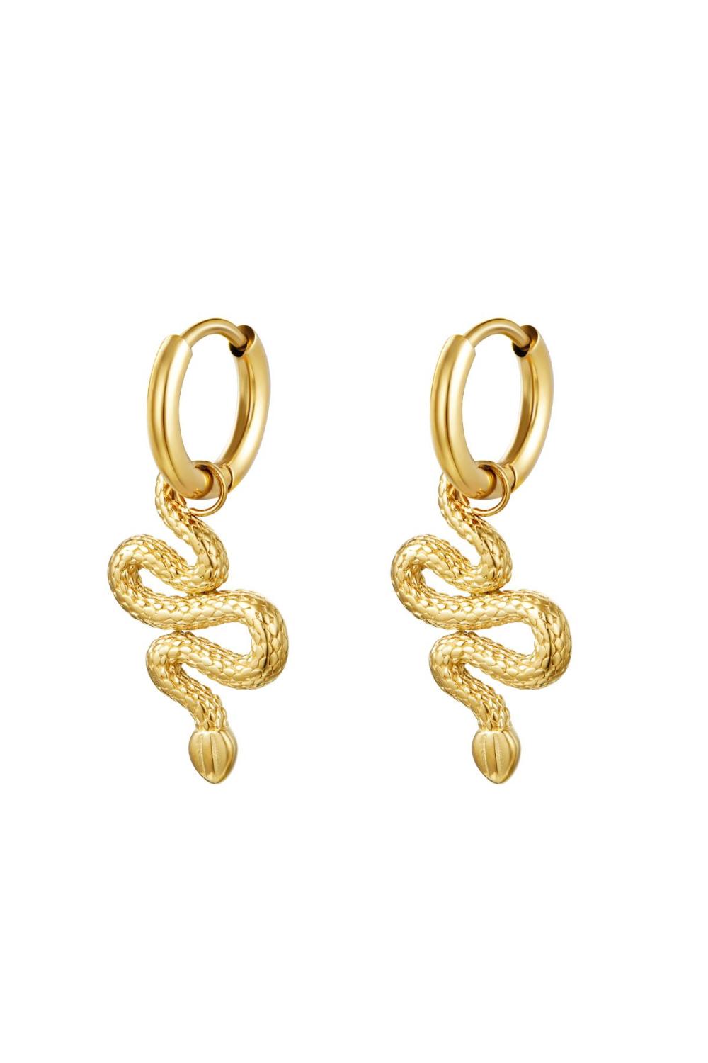 Boucles D'oreilles Shiny Serpent Acier Inoxydable (Pack With Plastic Bag) 