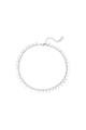 couleur argent Image2