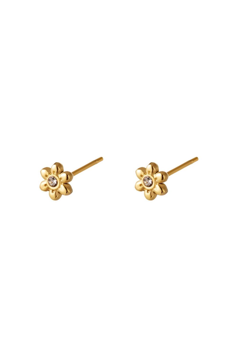 Boucles D'oreilles En Acier Inoxydable Fleur 
