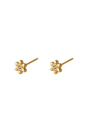 Boucles D'oreilles En Acier Inoxydable Fleur h5 