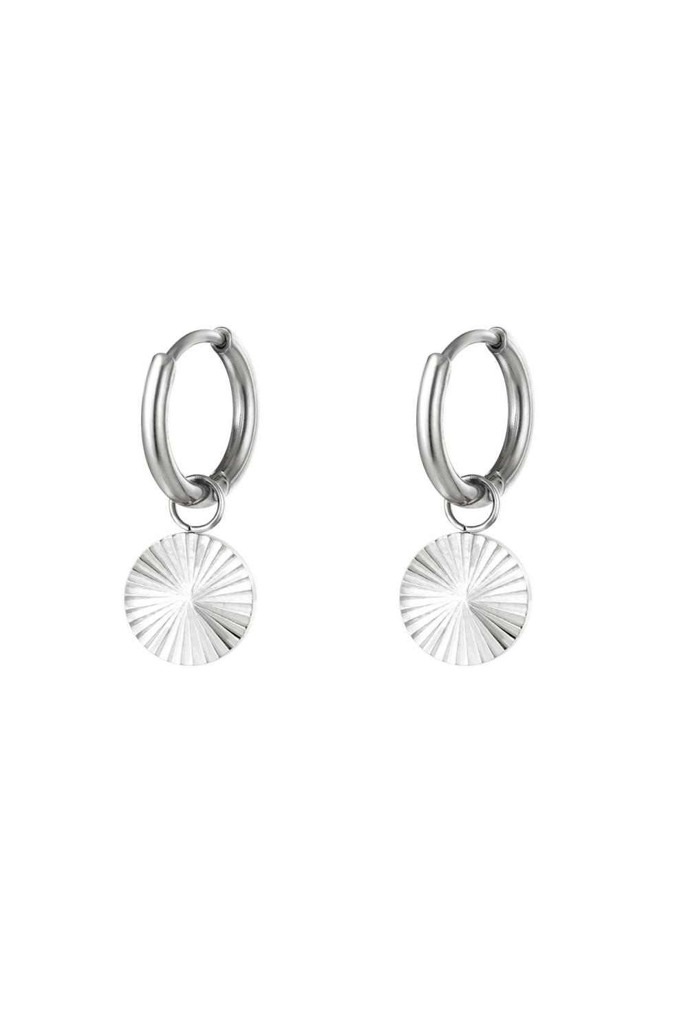 Boucles D'oreilles En Acier Inoxydable Cercle Argenté