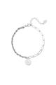 couleur argent 