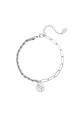 couleur argent Image2