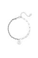 couleur argent Image5