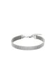 couleur argent Image2