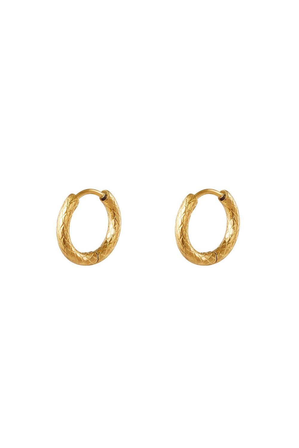 Boucles D'oreilles Créoles En Acier Inoxydable
