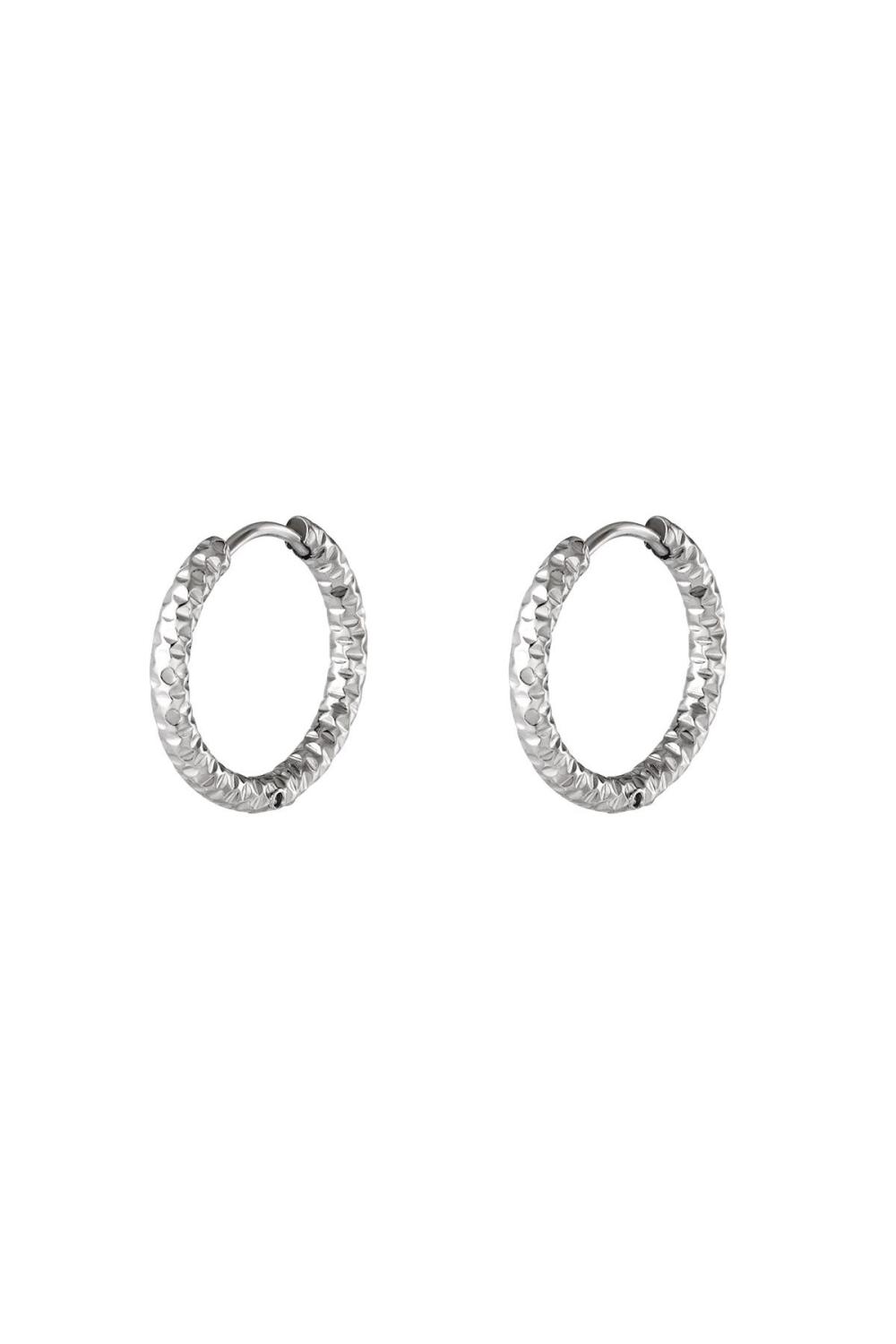 Boucles D'oreilles Créoles En Acier Inoxydable Argenté 