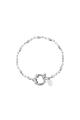 couleur argent Image2
