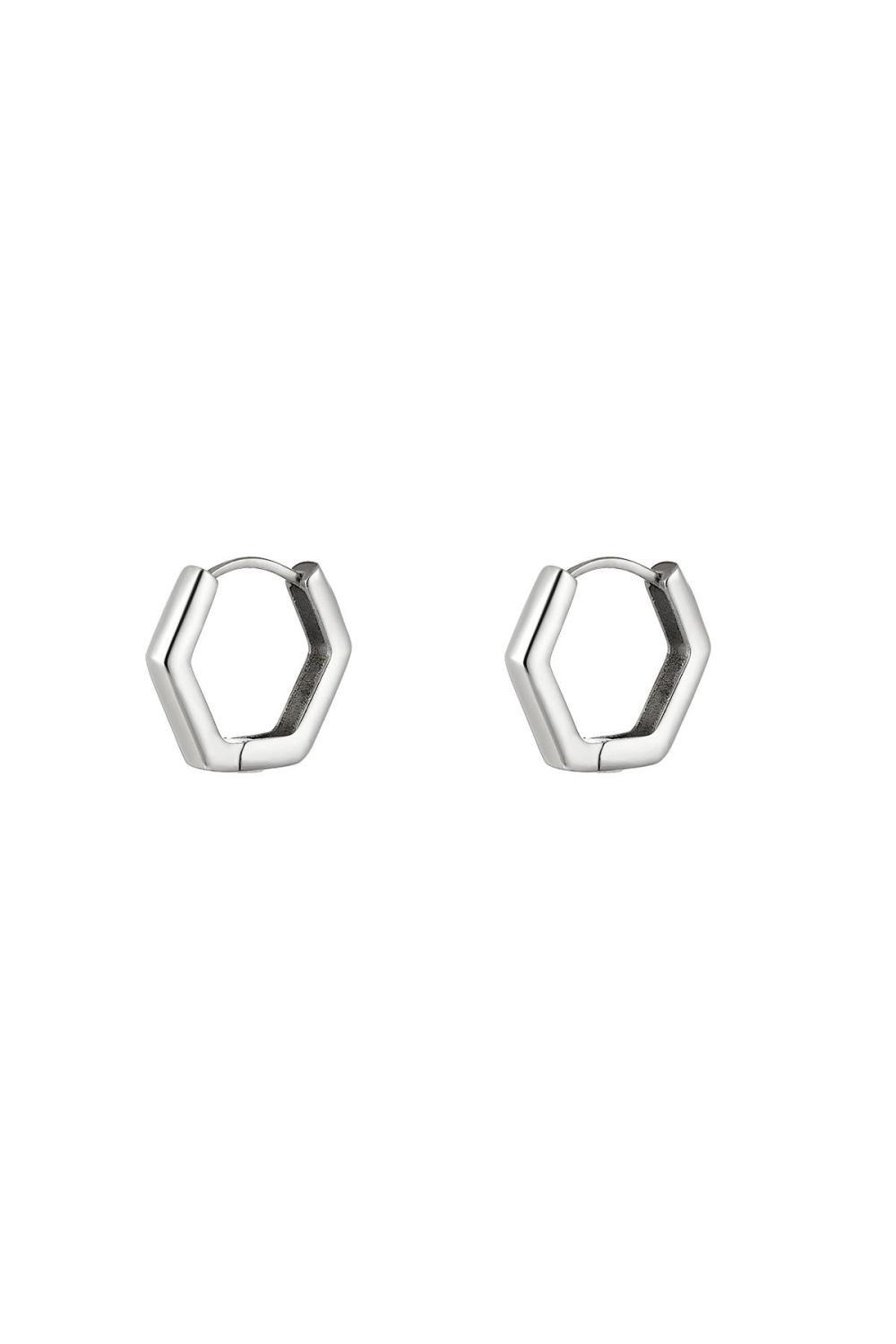 Boucles D'oreilles En Acier Inoxydable Argenté