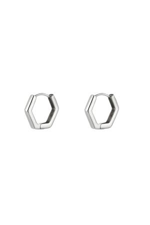 Boucles D'oreilles En Acier Inoxydable Argenté h5