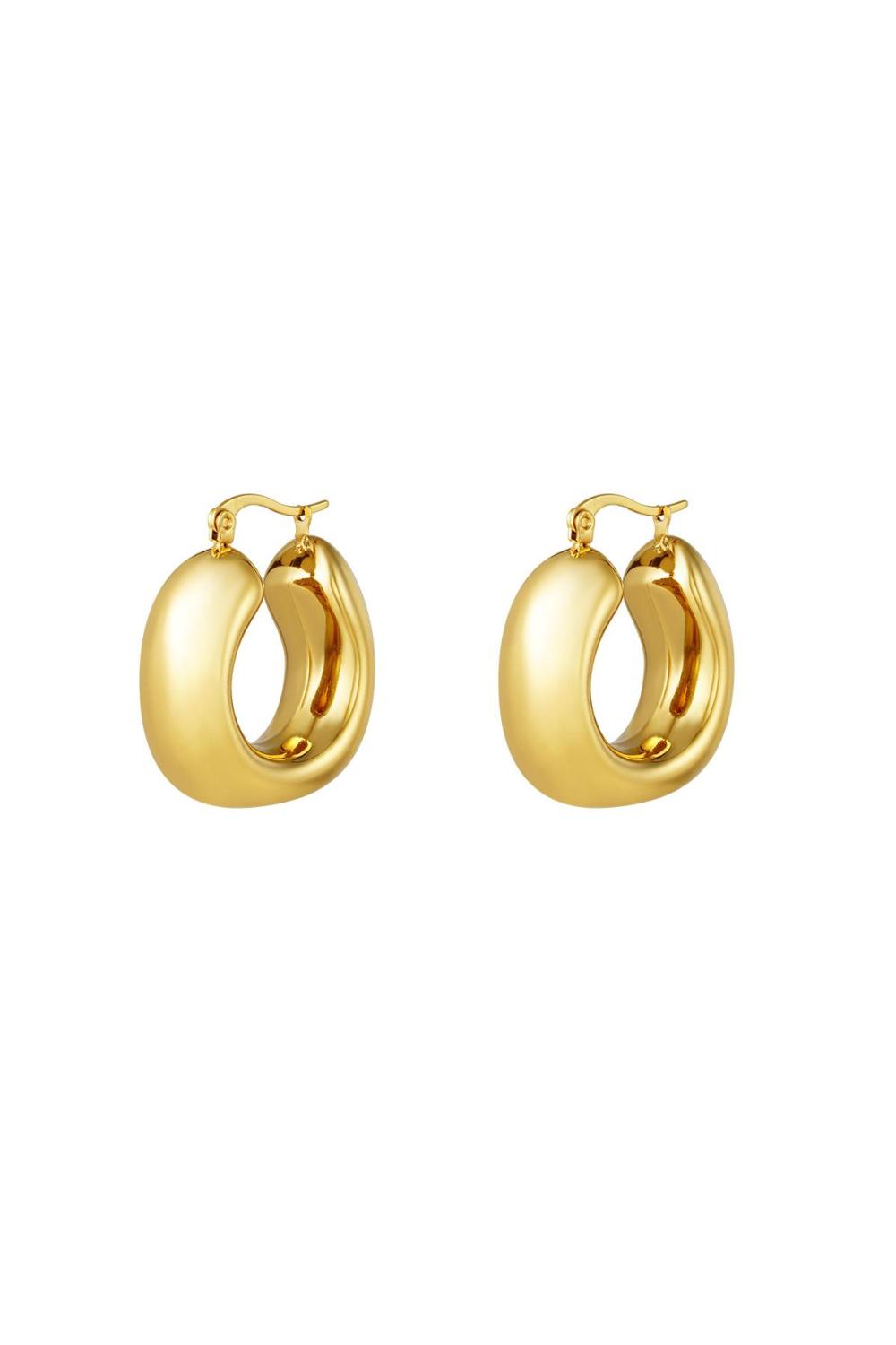 Boucles D'oreilles Audacieuses Acier Inoxydable 