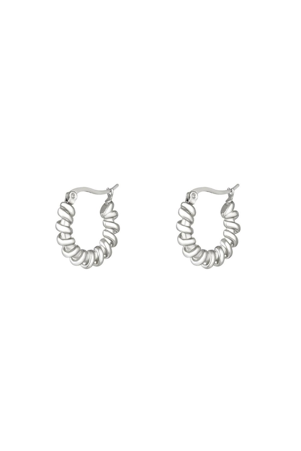 Boucles D'oreilles En Acier Inoxydable Argenté 