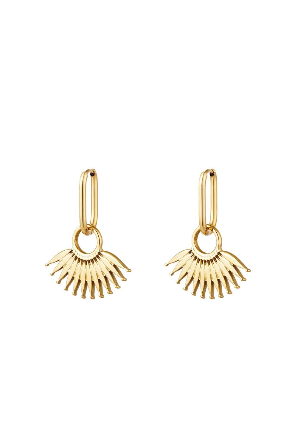 Boucles D'oreilles En Acier Inoxydable 