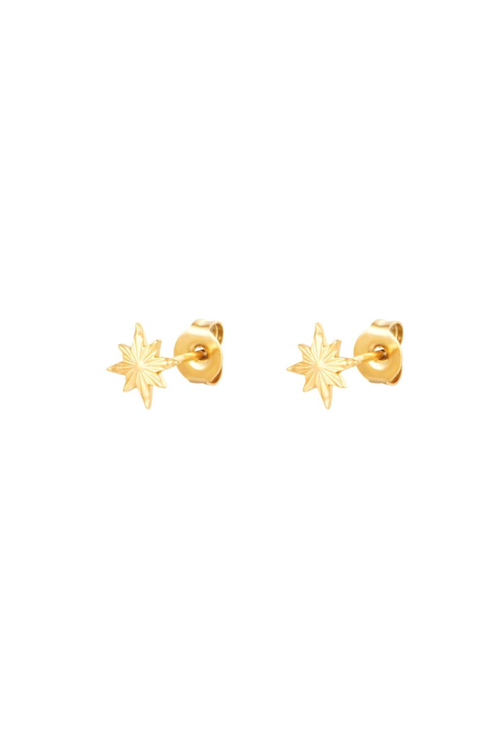 Boucles D'oreilles Tige Etoile Du Nord Acier Inoxydable