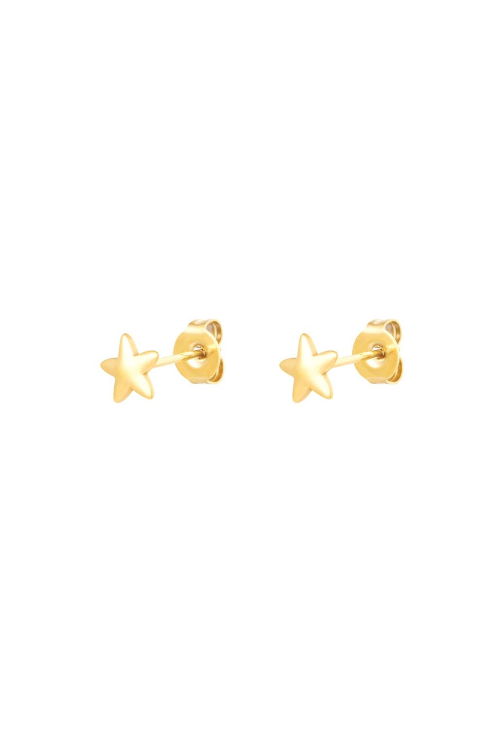 Boucles D'oreilles Clou Etoile Acier Inoxydable 