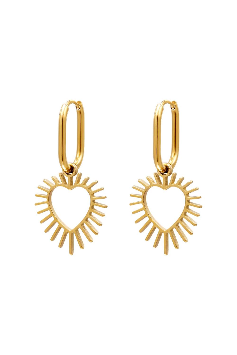Boucles D'oreilles Acier Inoxydable Coeur Rayonnant