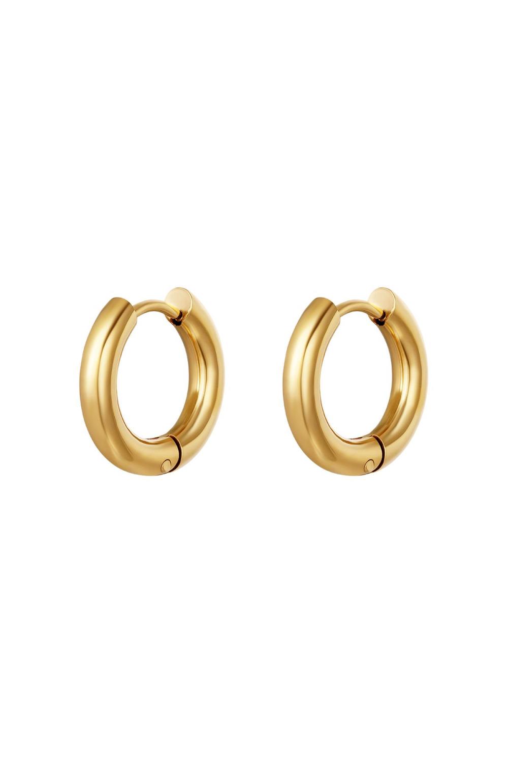 Boucles D'oreilles Créoles Basiques - Petites Acier Inoxydable 