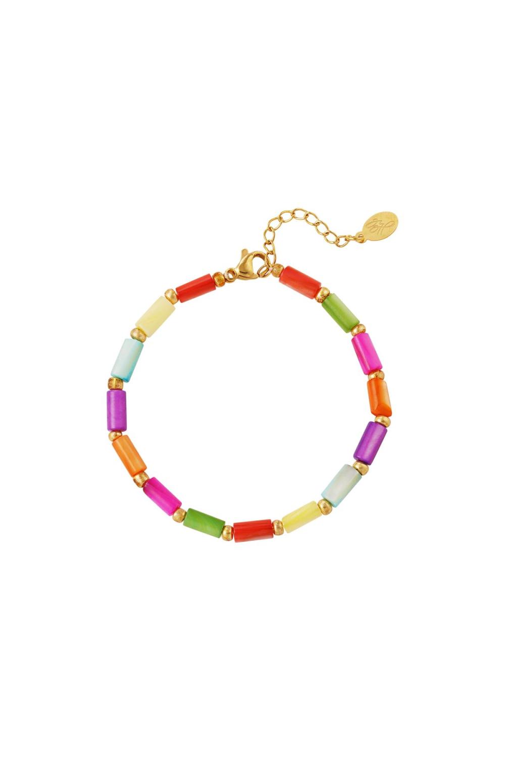 Bracelet Coloré - Collection Arc-En-Ciel Multicouleur Acier Inoxydable 