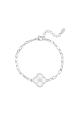 couleur argent 