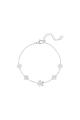 couleur argent Image2