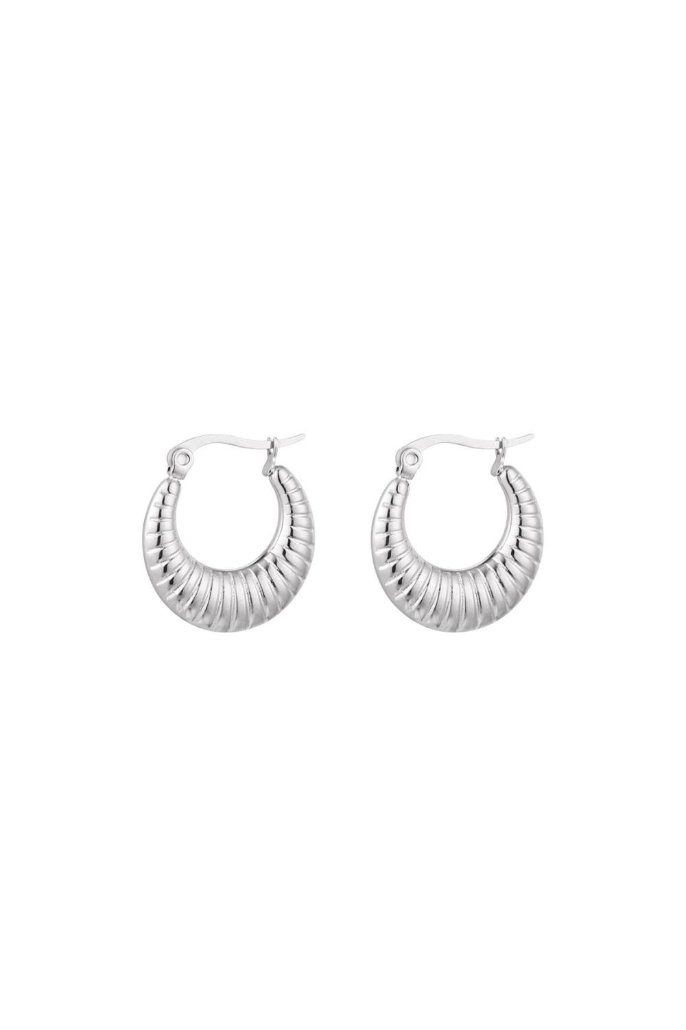 Boucles D'oreilles Basiques Avec Imprimé Argenté Acier Inoxydable 