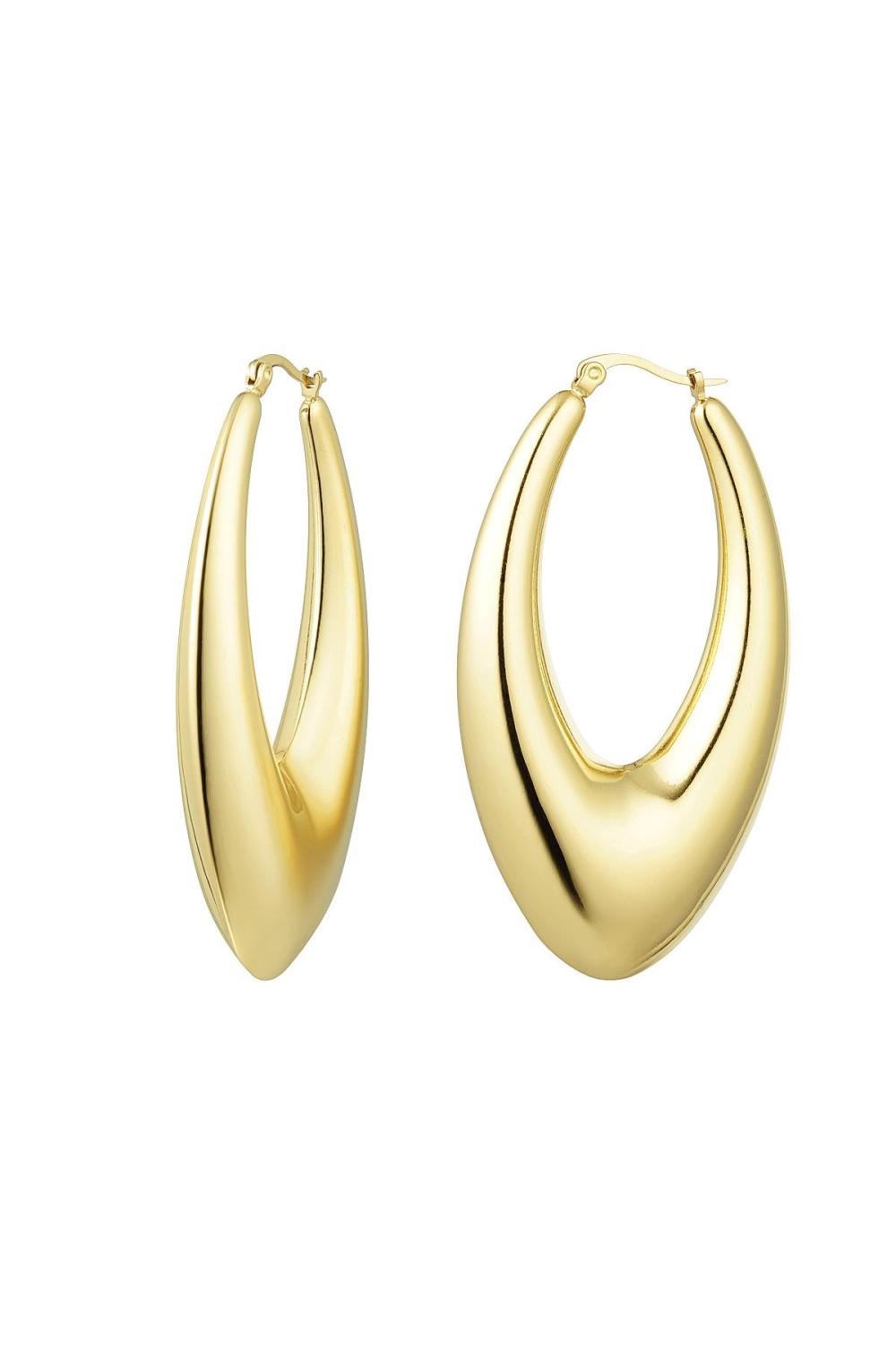 Boucles D'oreilles Acier Inoxydable Chic Large 