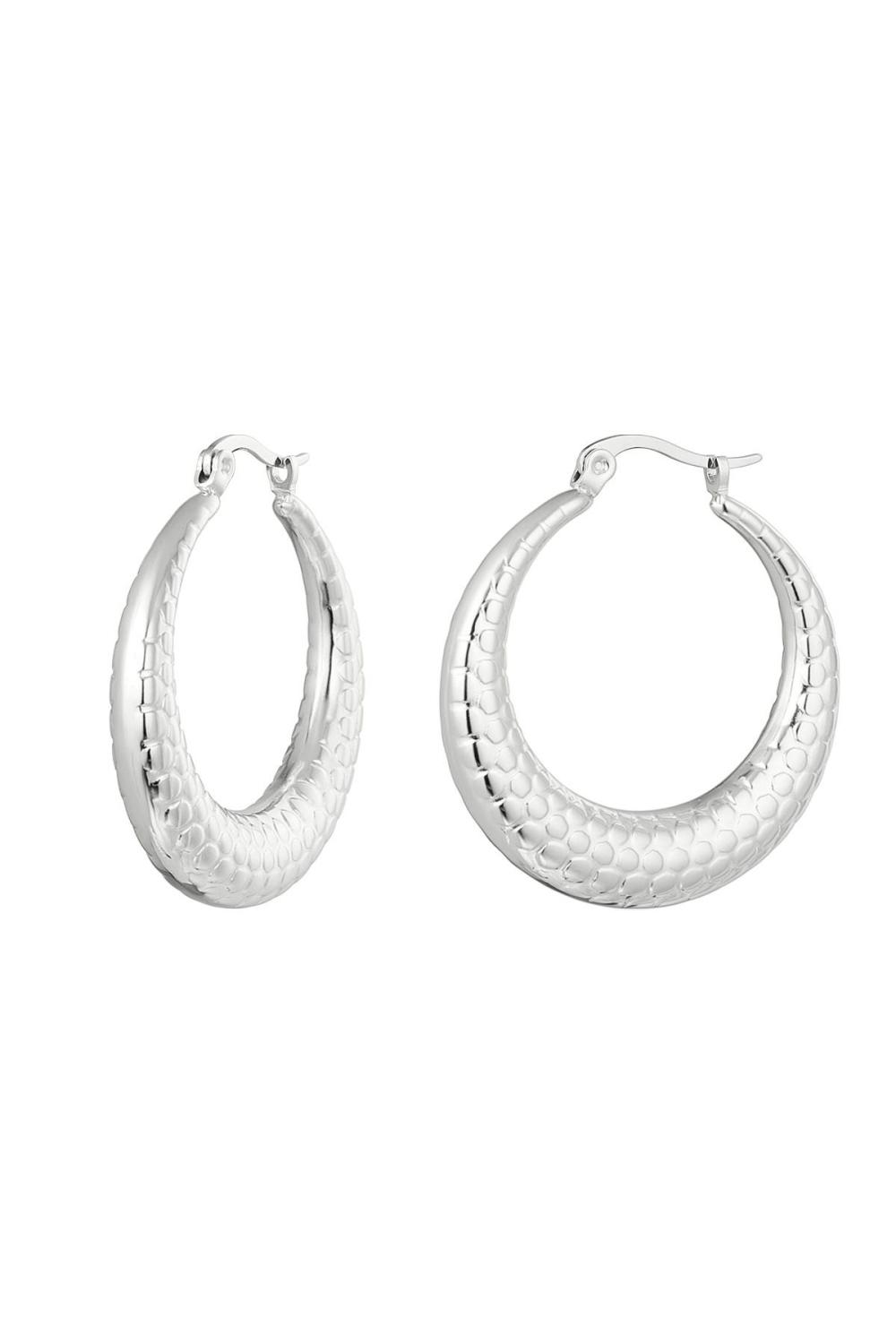 Boucles D'oreilles Imprimé Bulle Moyen Argenté Acier Inoxydable 