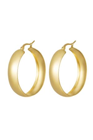 Boucles D'oreilles En Acier Inoxydable Chic h5 
