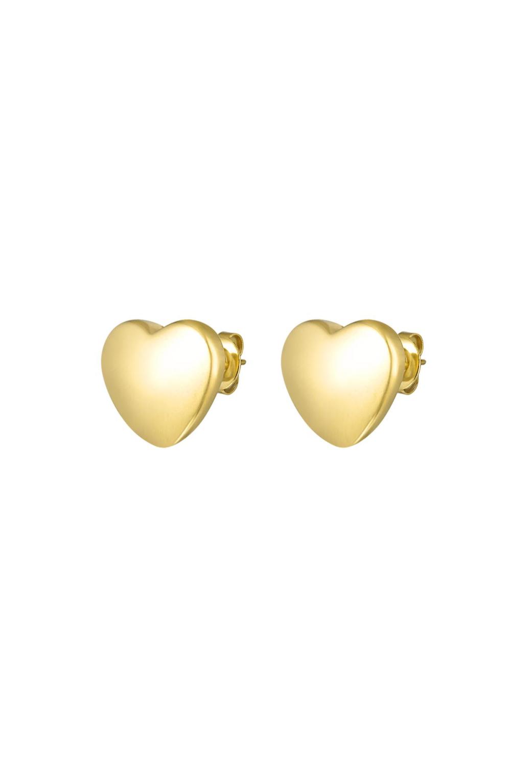 Boucles D'oreilles Coeur Acier Inoxydable 