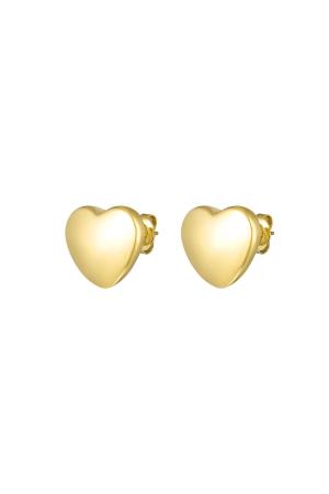 Boucles D'oreilles Coeur Acier Inoxydable h5 