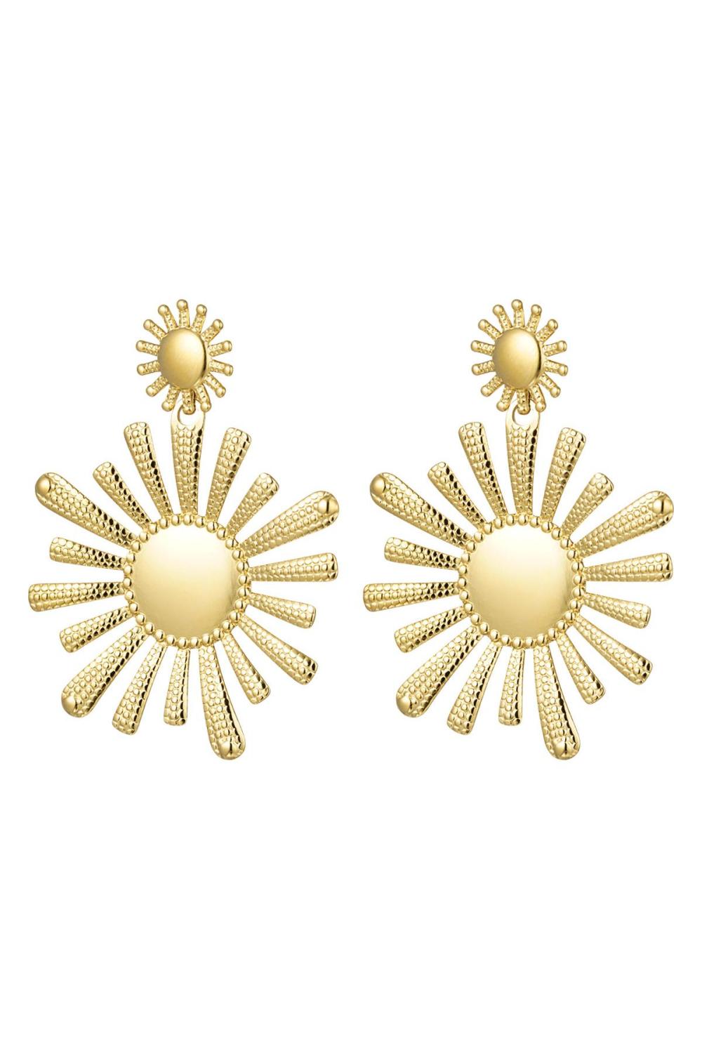 Boucles D'oreilles Fleurs En Acier Inoxydable 