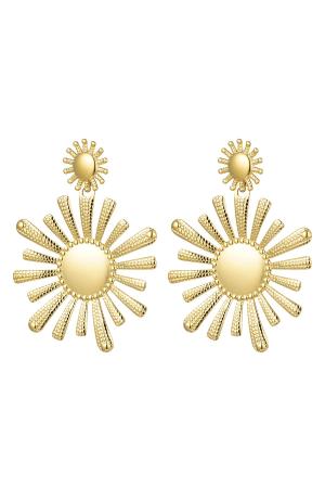 Boucles D'oreilles Fleurs En Acier Inoxydable h5 
