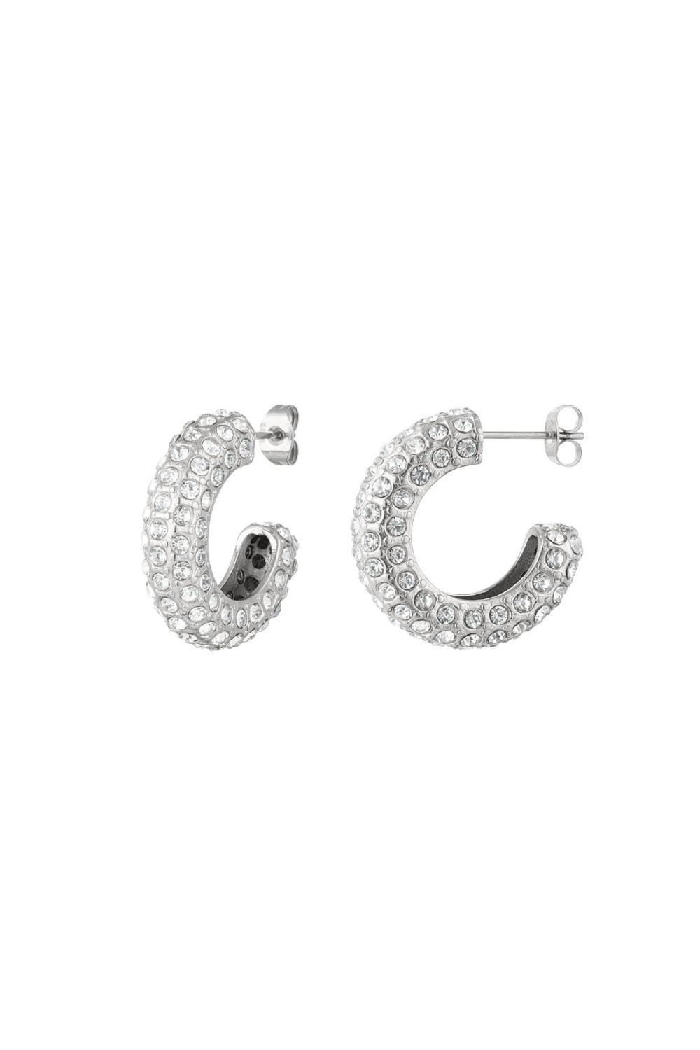 Clous D'oreilles Zircon Argenté Acier Inoxydable 