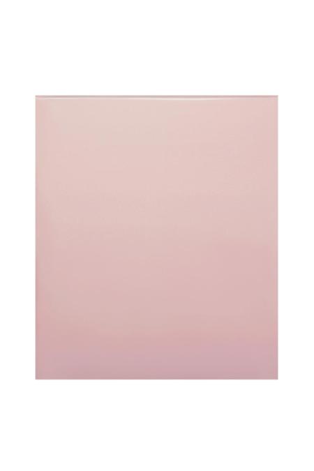 Packaging Bags Large Rose Plastique 2