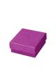 fuchsia Image6