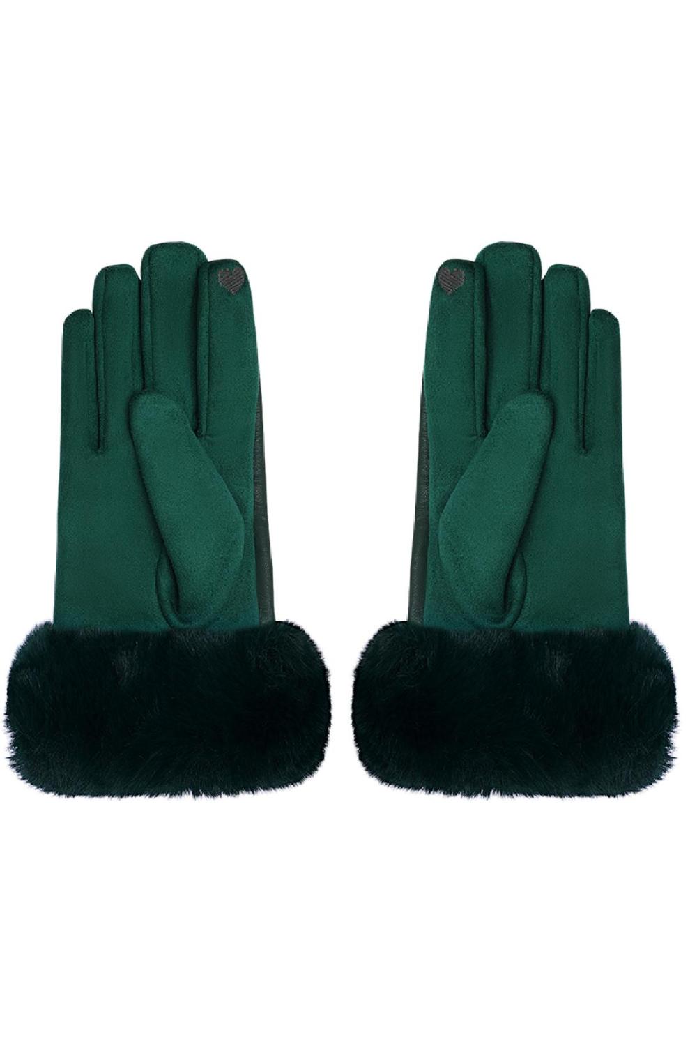 Gants Avec Fausse Fourrure Et Aspect Cuir Vert Polyester Taille Unique h5Image4