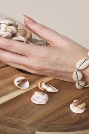 Bracelet Summer Paradise Argenté Coquilles h5 Image2